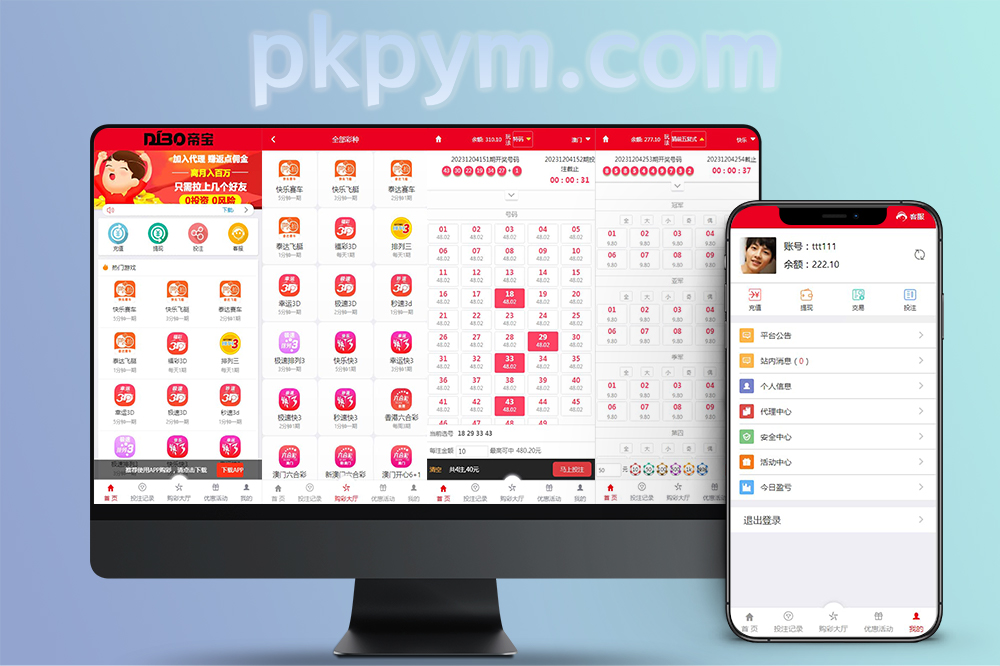 【2024最新】大富系统运营级源码/采集正常/新增了多个六合C游戏玩法
