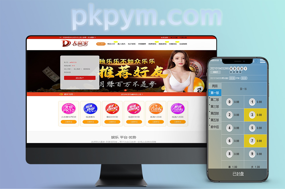 NET语言开发源码可二开双面盘带手机双端